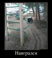 "Лига алкоголиков" продолжает прием граждан в свои ряды