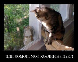 Ребятам о зверятах: наш мир «не нашими» глазами