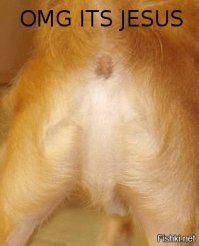 15 самых жутких ресторанов с призраками в США