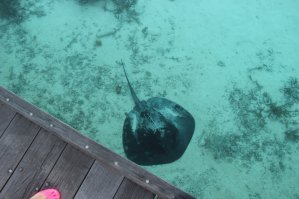 Диковинные места с самой прозрачной в мире водой