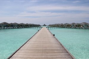 тоже с Мальдив