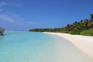 тоже с Мальдив