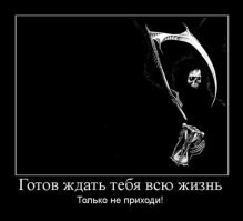 Дорога в рай