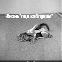 Правила для женщин, написанные мужчинами