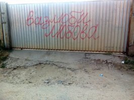 Голосуй за меня!