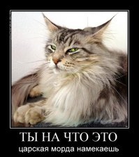 Детство и юность в коммунистической Румынии