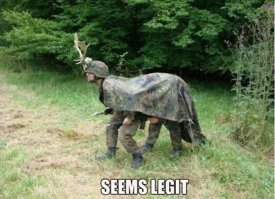 Эстонский олень - самый быстрый олень в мире!!!!