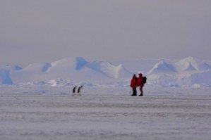 "Переговоры?"(с)