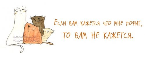 Вместо заказанного iPhone 7 китаянка получила iPhone 3G, iPhone 4 и "магическую" карту для их объединения