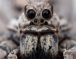 Теперь это наша хата!