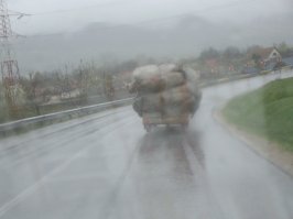 Детство и юность в коммунистической Румынии