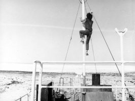 на подобный ещё Цой на Арале лазал...