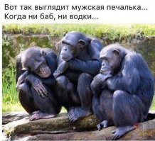 Про женщин в жизни мужчины. И не только