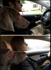 Баба на дороге - уноси скорее ноги!