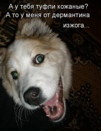 Подарок на день рождения разнес квартиру женщине