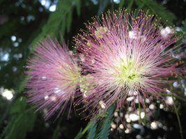 20 композиционных приемов в фотографии — краткое пособие в помощь новичкам (с примерами)