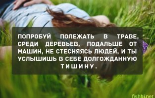Постоянно так делал в деревне у родителей целый месяц. Про тишину звездешь. :) Слышно сотни и тысячи насекомых, животных, птиц, которые зовут друг-друга потрахаться, или тупо хотят сожрать.