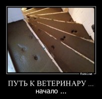 Из серии "когда что-то пошло не так"