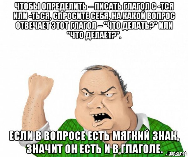 Семья сбежала из родного дома из-за пауков, вызывающих 4-часовую эрекцию