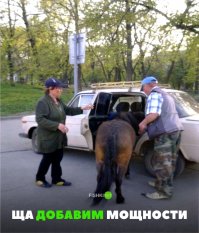 Не туда суют, под капот нужно)