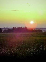 20 композиционных приемов в фотографии — краткое пособие в помощь новичкам (с примерами)