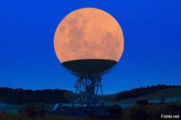 15 самых удивительных фактов о Луне