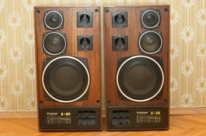 До сих пор соседей радуют,правда уже с мененными динамиками,и помогает им 110 литровый саб,с 15-ой головой....