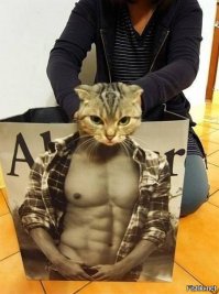 Несчастные животинки, кошак должен быть поджарым.