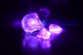 Приём называется световая кисть. Подсветил фиолетовым лазером.