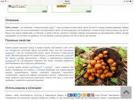 Чтобы быть точнее "древесное ухо/уши"...а на фото выше японские/китайские грибы намеко