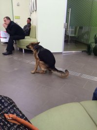 дерзкое преступление.