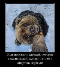 7 самых известных мифов на тему выживания, которые легко вас погубят