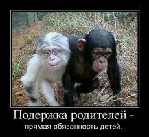 Интересно уже не первый пост посвященный хреновой жизни пенсионеров. На самом деле не такая уж она хреновая. У меня родственники в лихие 90, когда перестройка с модернизацией довели страну до ручки выживали втроем на бабкину пенсию, которые в то время была 3000 руб. Те ужасы домов престарелых, зависят от детишек которые, законопачивают туда своих предков забывающих, что...