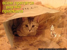 Фотограф создает очаровательные снимки своей дочери с разными животными