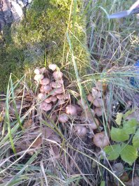 А это у нас в Новосибирске.