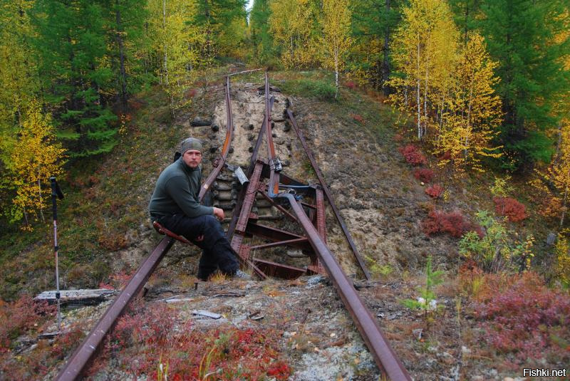 Живая мертвая дорога. Сталинская железная дорога Салехард. 503 Стройка Салехард Игарка. Стройка 503 мертвая дорога. Салехард-Игарка железная дорога лагеря.