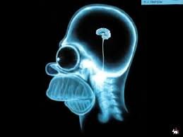 Мозг не задет просто))