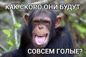 Эти звезды вышли на красную ковровую дорожку почти в чем мать родила!