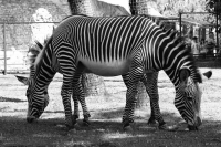 Всего один вопрос: "Для чего?" 