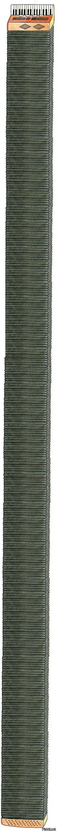 Привычные вещи, об истинном назначении которых мы не знали