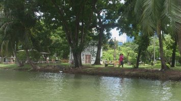 Парк варанов в Бангкоке