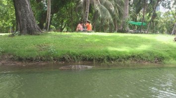 бывали там очень даже прикольно что в центре города живые плавают