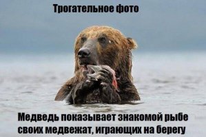 В Москве лебедь спас поперхнувшуюся желудем утку