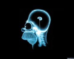 пуля не долетела до мозга.