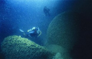 А так теперь этот бывший красавец выглядит...