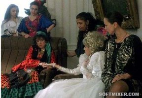 Конь всем коням маму делал!