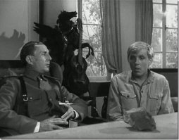 Конь всем коням маму делал!