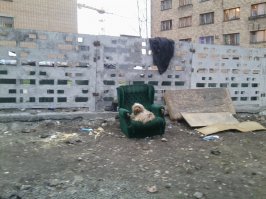 Кризис - это не повод отказываться от роскоши 