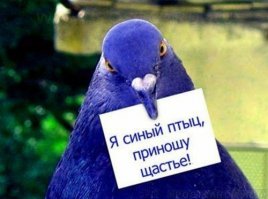"Синяя птица". Элизабет Тейлор и Георгий Вицин в "одном флаконе"