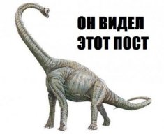  Женская мода, как не надо одеваться